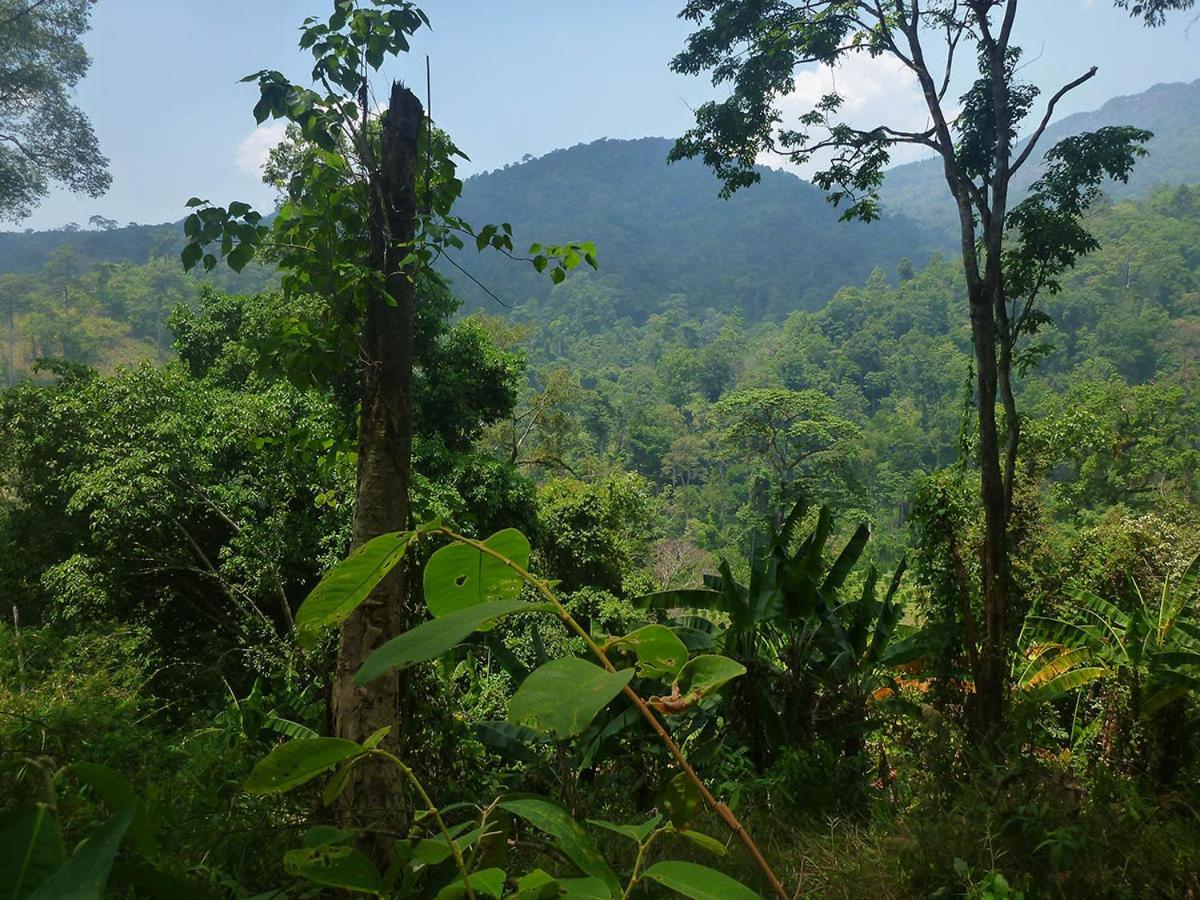 Hidden Valley Bungalows Baan Tai Ngoại thất bức ảnh